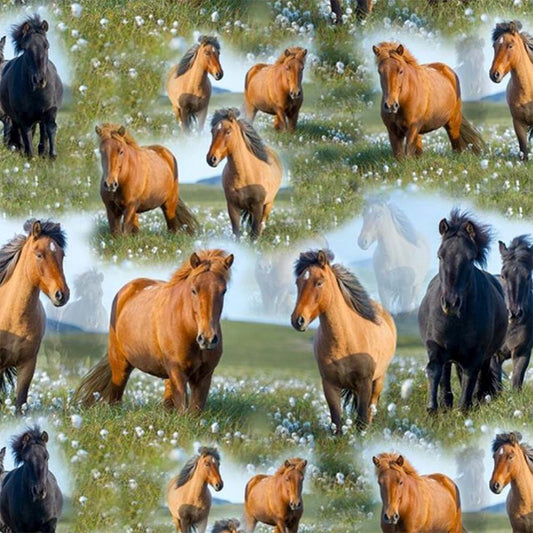 Bomullstrikå Islandshästar