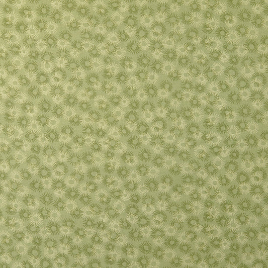 Bomull / Poplin Olivgrön